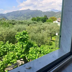 https://la-madonnina-querceta.it-tuscanyhotel.com